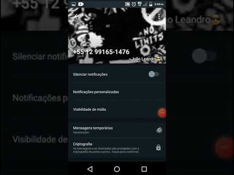 Descubra como identificar o número do WhatsApp de outra pessoa com segurança