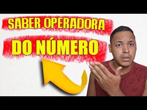 Consulta
