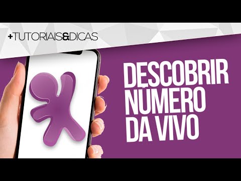 Como Consultar Meu Número Vivo de Forma Rápida e Segura